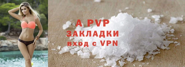прущие грибы Аркадак