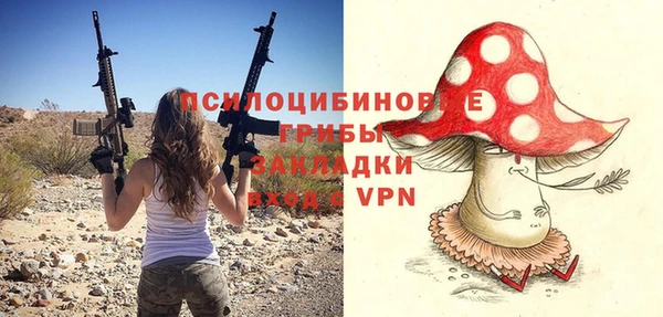 мескалин Арсеньев