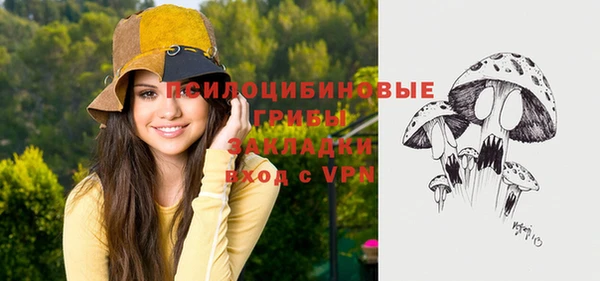 прущие грибы Аркадак
