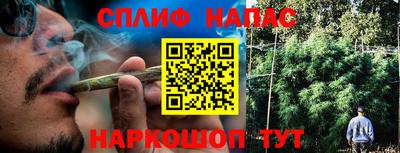 МДПВ Бийск