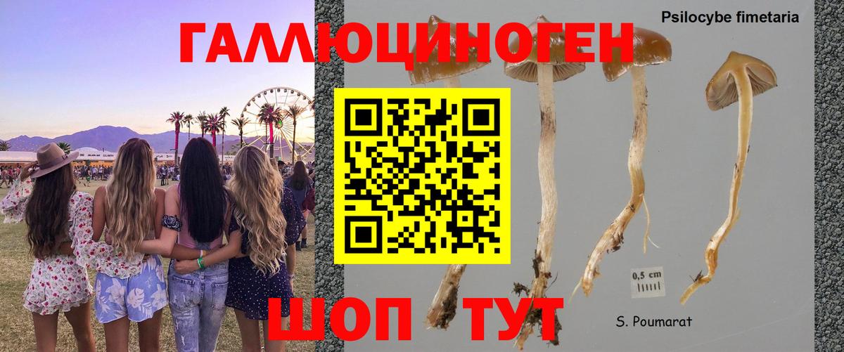 Кирово-Чепецк  Галлюциногенные грибы Psilocybe  Псилоцибиновые грибы ЛСД  Вход с VPN 